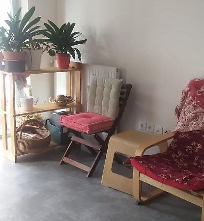Studio Purpan Apartment Toulouse Luaran gambar