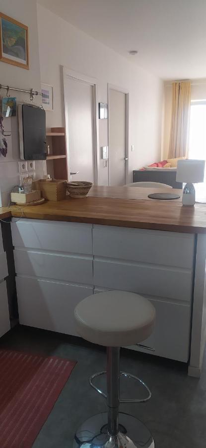 Studio Purpan Apartment Toulouse Luaran gambar
